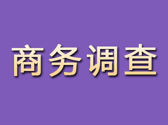 大柴旦商务调查