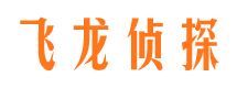 大柴旦市场调查